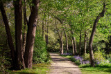 Bayard Cutting Arboretum