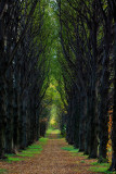 Old Westbury Gardens