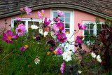 Planting Fields Arboretum
