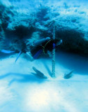 Diver by an anchor