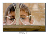 Kurdistan, Iraq, December, 2007