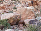 Thanksgiving 2009-26.jpg   Calico Basin