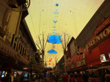 Thanksgiving 2009-39.jpg  Fremont Street