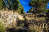 Via dos Almocreves (IIP)