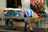 #6 Algarve, Paixão a Sul by Teresa Mesquitela Cabral (AlgarveShopping)