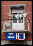 55's Exhibition (Amadora)
