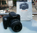 Alpha A290