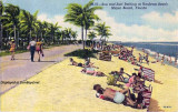 1955 - postcard of sun and surf bathing at Haulover Beach