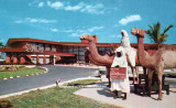 1954 - the Sahara Motel on Collins Avenue in Sunny Isles