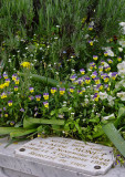 Monets family Grave - Spulture de la famille Monet
