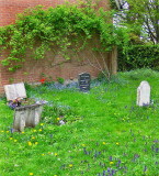 FLOWERS & GRAVESTONES