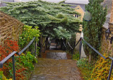 DOWN THE CHURCH STEPS