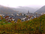 VIEW FROM THE VINEYARDS