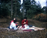 Picnic 1963