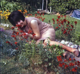 Me 1964