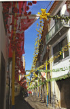 FLORAL BUNTING