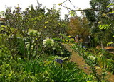 SPRING FLOWERS BY THE CHURCH