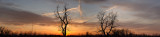 Delaware_Park_sunset_01.jpg