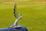 1934 Packard V12 Touring Car hood ornament