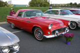 1955 Ford Thunderbird