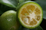Lime (cut-section)