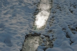 Frozen Tracks