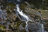 Wet Rocks