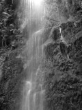 mallyan spout