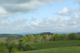 Spring Foilage