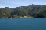 near picton copy.jpg