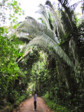 The path to the lodge