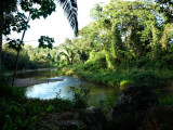 River view from the lodge