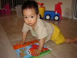聚聚最喜愛的書是 Elmo