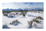 Winter in the Tetons