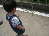 IMG_0771_resize.JPG