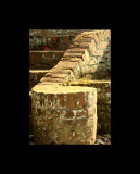 Brick Stairs at the gardens in Georgetown.jpg