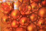 8 Orange circles