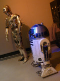 P1030036_.jpg