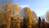 hwy 207 S.jpg
