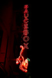 Saucebox Neon