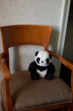 Hilton Panda