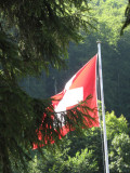 Le drapeau suisse sur la prairie du Grtli nest pas une raison de voter comme un mouton