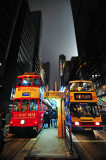 Tram or Bus?