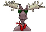 Mr. Mac the moose