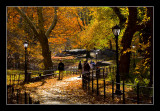 Central Park, NYC