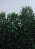 Giant hailstones (1,5-2 inch) once more in July!