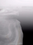 Accumulated precipitation is on the increase and foggy days are here again