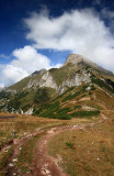 In Tatras