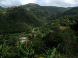 Golf Course on Trinidad