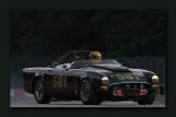 Sunbeam Tiger  ~ Ford V8